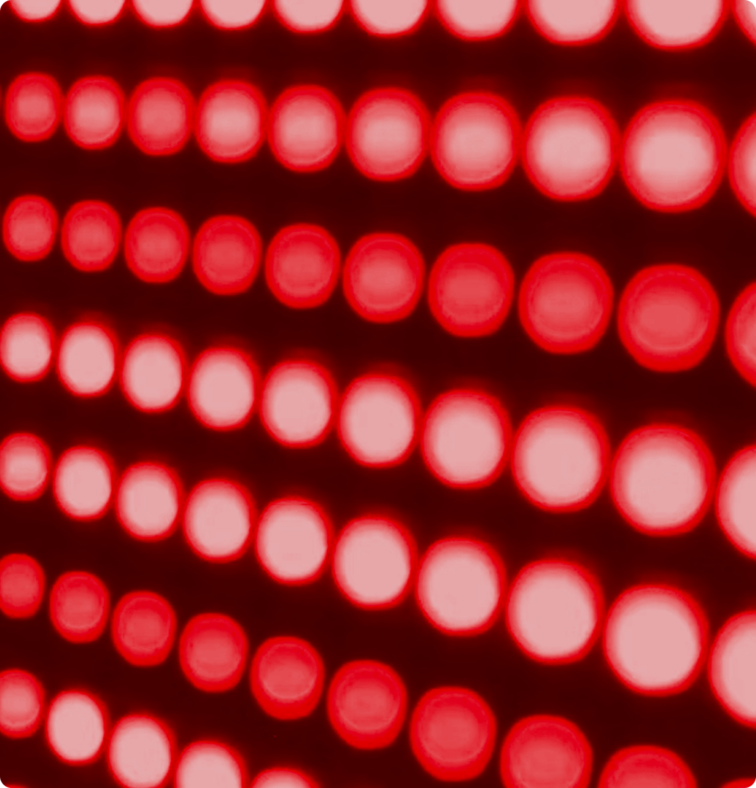 A close up macro shot of blurred, illuminated red lights